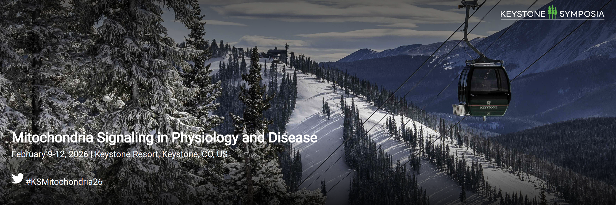 Keystone Symposia – Mitochondria Signaling in Physiology and Disease – Feb 09–12, 2026 | Keystone Resort, Keystone, CO, United States Scientific Organizers: Navdeep S Chandel and Aleksandra Trifunovic