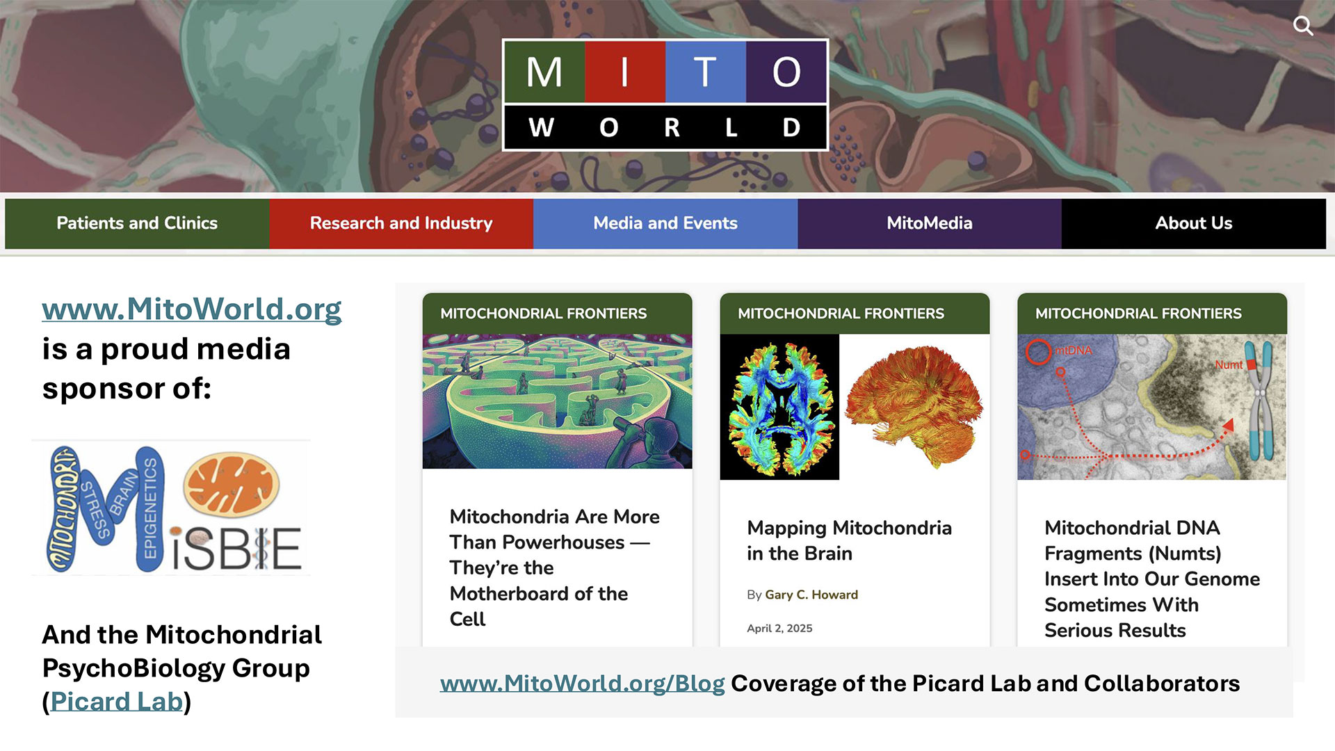 MitoWorld MiSBIE Support Slide