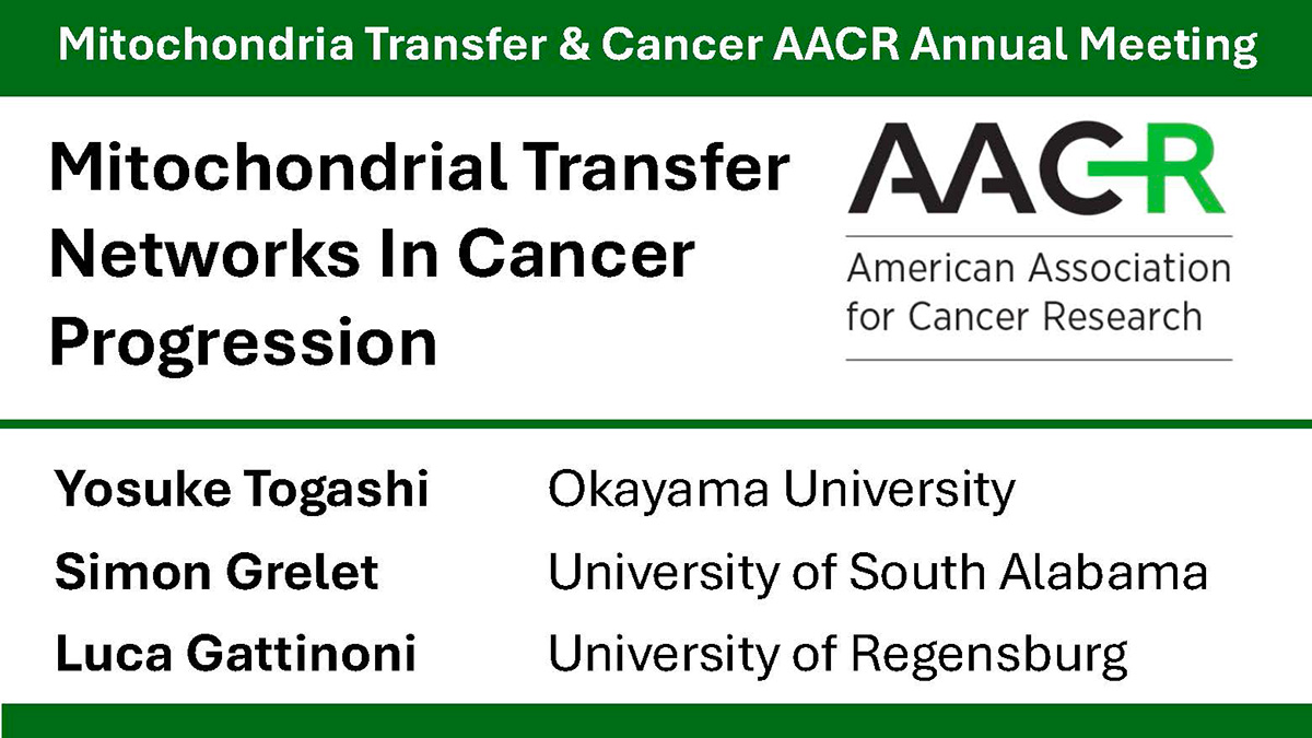 Mitochondrial Transfer Networks in Cancer Progression