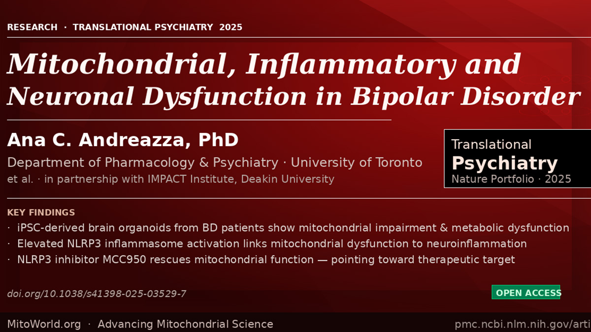 Mitochondrial Inflammatory and Neuronal Dysfunction in Bipolar Disorder