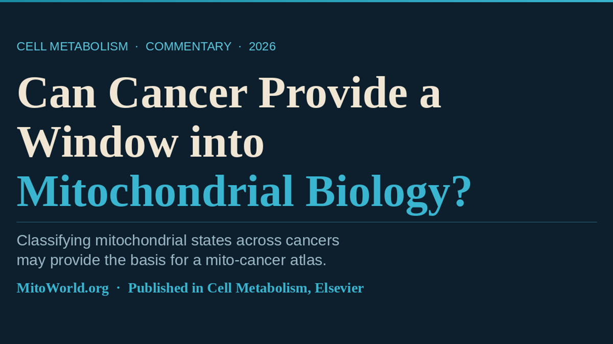Can Cancer Provide a Window into Mitochondrial Biology