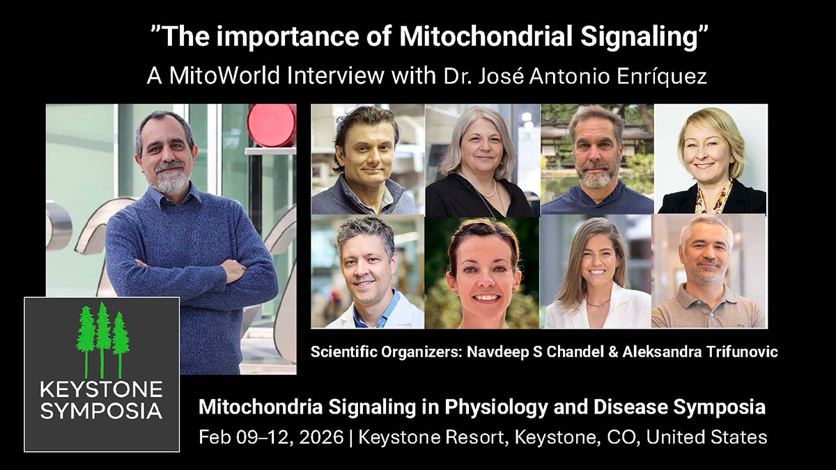 KeyStone Conference – The Importance of Mitochondrial Signaling
