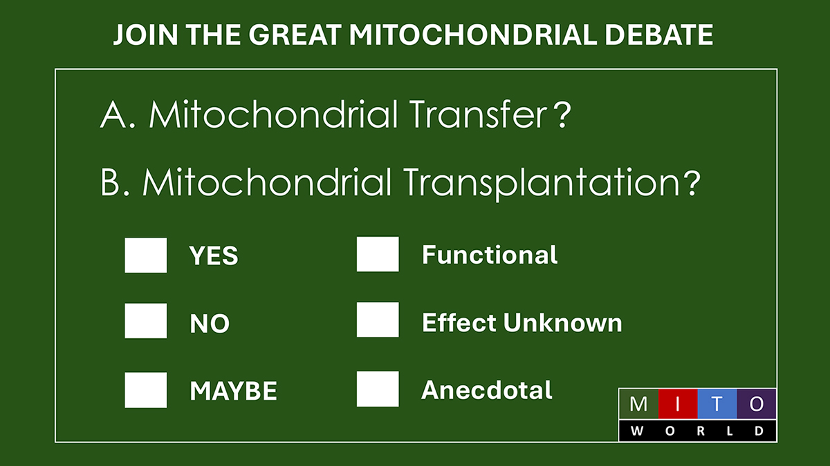 The Great Mitochondrial Debate over Transfer and Transplantation